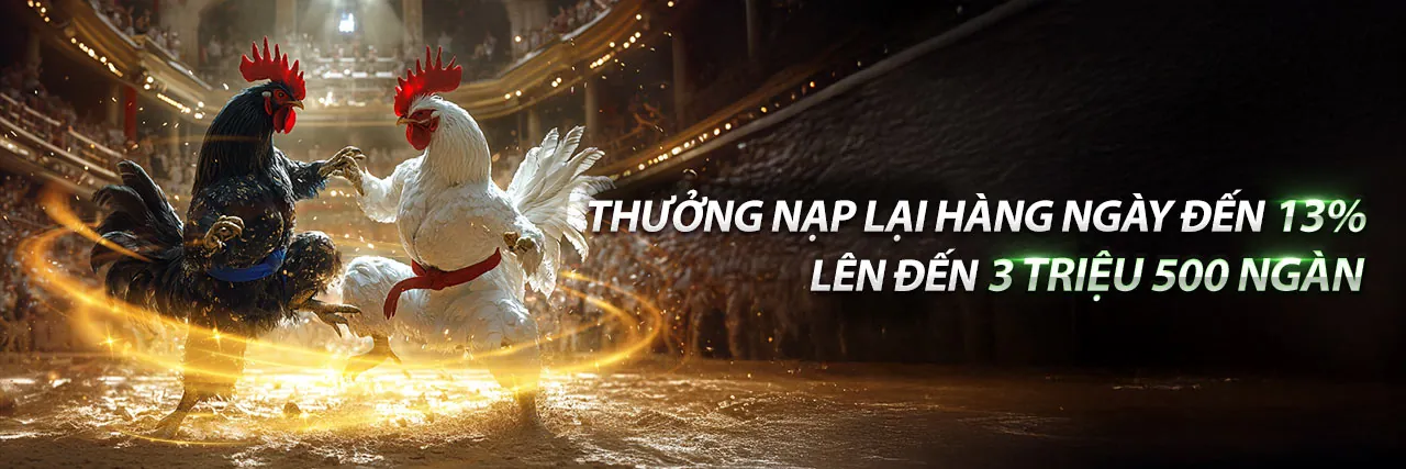 Đá gà kịch tính tại t88 bet